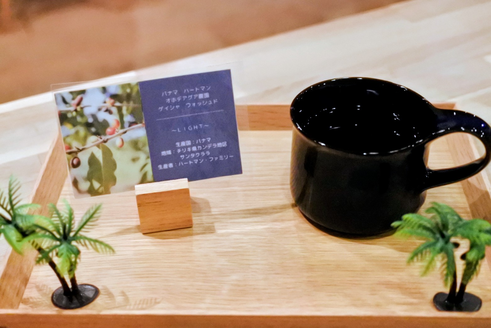 パナマゲイシャ2025